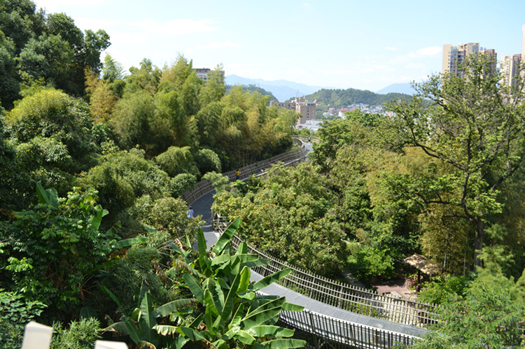 福建出台《残疾儿童康复救助办法》